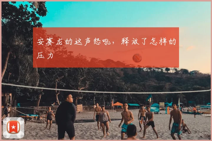 安赛龙的这声怒吼，释放了怎样的压力